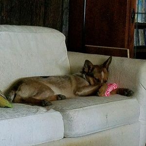 Meet your Posher, Jenny